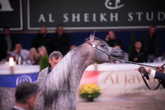 ISSS7474آخن ٢٠١٩