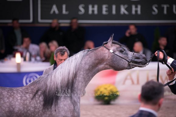 ISSS7475آخن ٢٠١٩