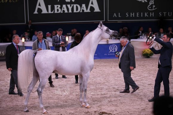 ISSS7479آخن ٢٠١٩