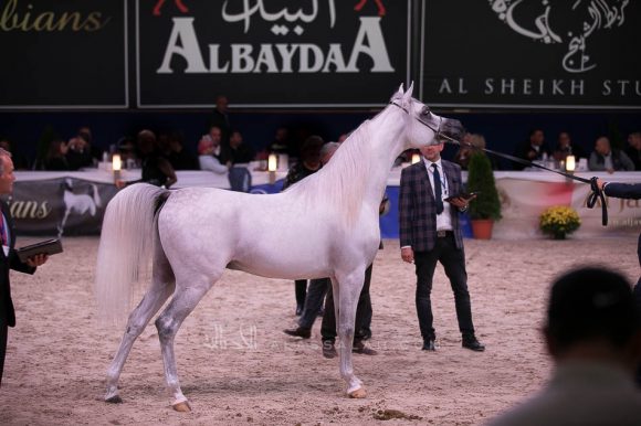 ISSS7486آخن ٢٠١٩