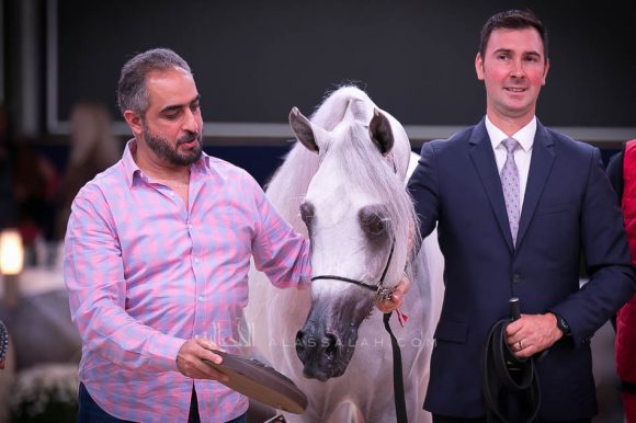 ISSS7521آخن ٢٠١٩