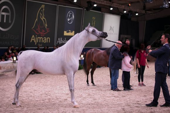 ISSS7534آخن ٢٠١٩