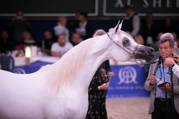 ISSS7556آخن ٢٠١٩