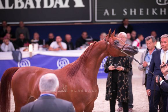 ISSS7560آخن ٢٠١٩