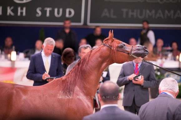 ISSS7563آخن ٢٠١٩