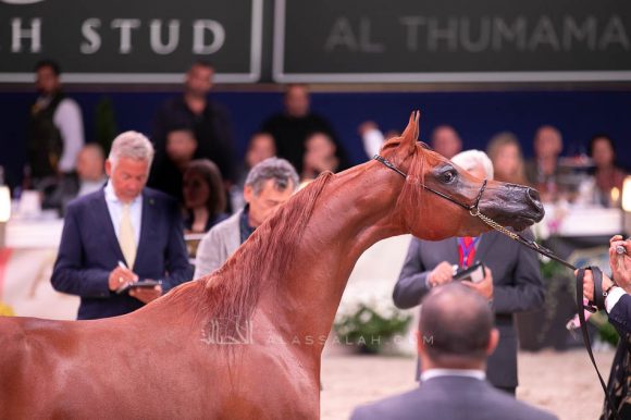 ISSS7565آخن ٢٠١٩