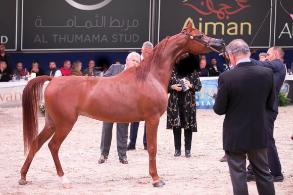 ISSS7570آخن ٢٠١٩