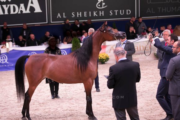 ISSS7579آخن ٢٠١٩