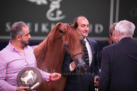 ISSS7590آخن ٢٠١٩