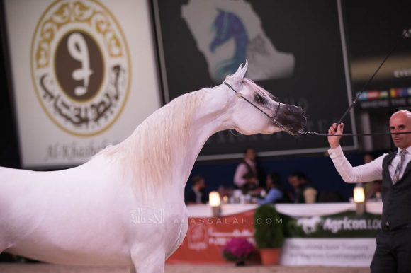 ISSS7616آخن ٢٠١٩