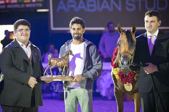 الذهب: اتش دي ام بيلا تشاو (ع ج عزام x رهفاء الهواجر) مربط عجمان – الإمارات.
