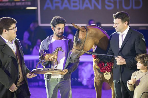 الذهب: اتش دي ام بيلا تشاو (ع ج عزام x رهفاء الهواجر) مربط عجمان – الإمارات.
