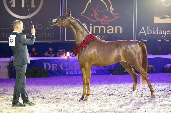 ايه فيجن ام آي (اليجانس ام آي x الويز فالنتاين ام آي) مربط البداير – الإمارات.
