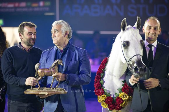  مياسة الناصر (سينان الريان x زينوبيا الناصر) مربط الناصر- قطر.
