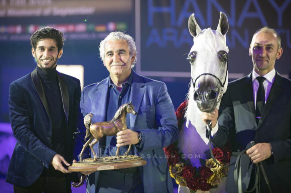  مياسة الناصر (سينان الريان x زينوبيا الناصر) مربط الناصر- قطر.
