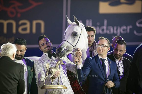 ويلدونا (شنغهاي إي ايه x ويلدا) مربط الشيخ.
