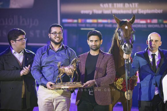 دوسر السيد (فاليدورو x  ديلايتس ديفا ار بي) مربط السيد – السعودية.
