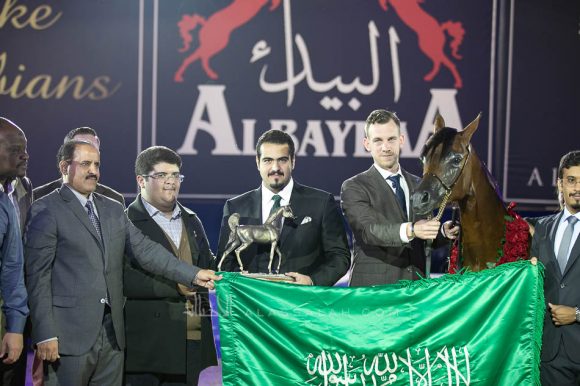  أي ال ار فيرديناند (موريون x  فهارينا) مربط الفيصلي – السعودية.
