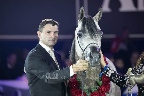 اتش ال الغندور (اتش بي شاكر تي إي x لونكو باي ماريا) مربط هنايا – سويسرا.
