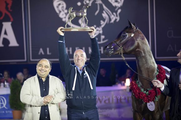 دي ابن رشيم (اف ايه الرشيم x انجليكا) مربط مارتيرس- اليونان.
