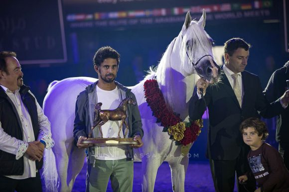 شنغهاي إي ايه (دبليو اتش جستس x سليمة إي ايه) مربط عجمان- الإمارات.
