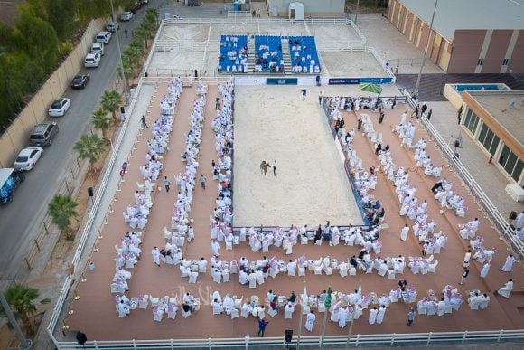 DJI_0089ALsayed auction alassalah