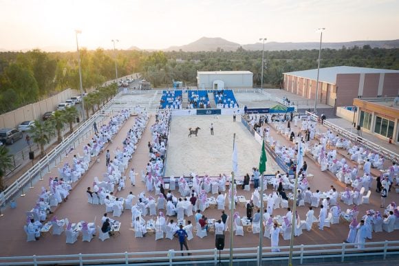 DJI_0091ALsayed auction alassalah