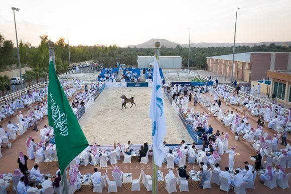 DJI_0123ALsayed auction alassalah