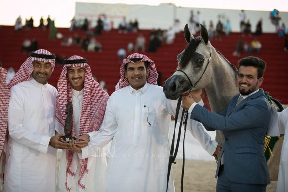 الكسنترا (اكسالتا x  دي ايه اليجنترا) عبدالله بن احمد بن عبدالعزيز القاسم