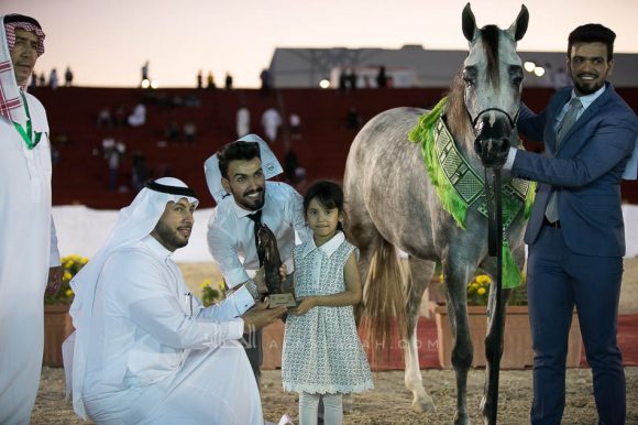 نوير القاسمية (ريفليوشن x  اس اتش جميله) مربط القاسمية
