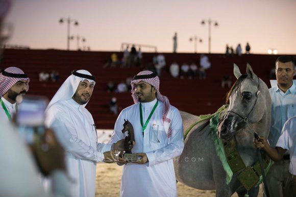 جنى ام ان ام (فياض الفياض x  اجا شالينا) مربط النصار