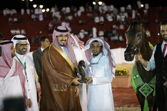 رويال أم جي (رويال كلورز x دي هيلة ) مربط المجد