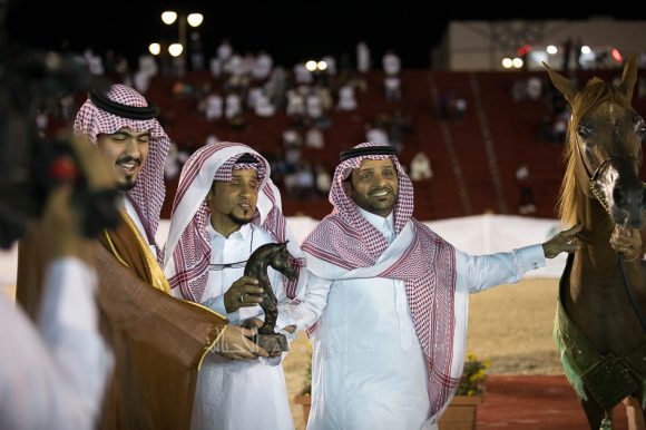 نجيب الصواري (رازي الخالدية x نيجيلا) مربط المجد