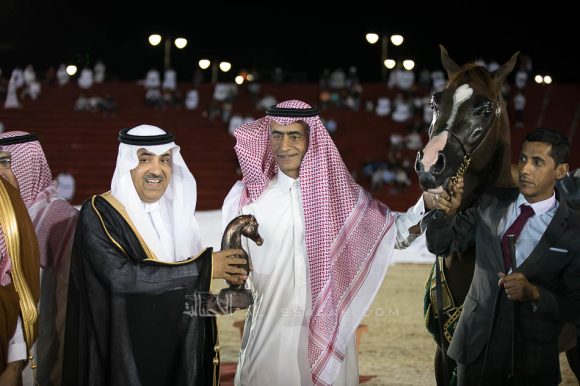 مشعل ايه ام (ابها قطر x سارة المحمدية) مربط صالح عبدالرحمن الوابل