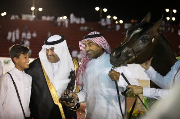 فالكون تي ار اف (اميرالد جي x عمالية)مزرعة الطرف