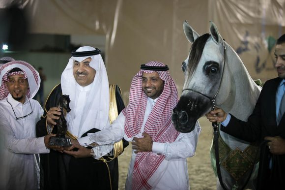 الجبيل (اس ام ايه ماجيك ون x سولى البداير) مربط المجد