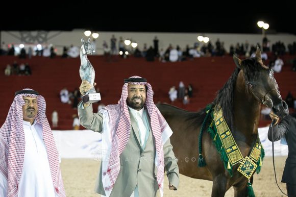 اوس ابولو (لاورنس الغزال x انو الوطن) مربط المخلديات