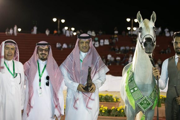 جوست اوف جلوري (دبيليو اتش جستس X بيس جلوريا) مربط الشموس