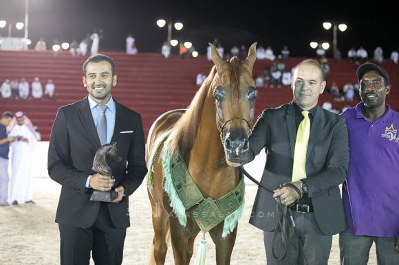 مروان سايكي (مروان X الماغنفيكو) مربط الدرعية