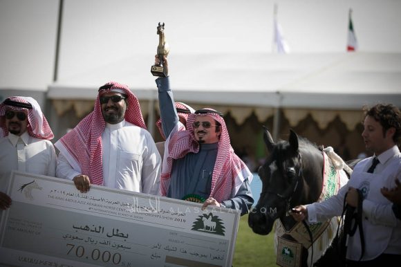 عروب الخالدية (يعسوب المعود x ضي الخالدية) إسطبلات الخالدية.
