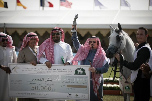 هلالة الخالدية (باندريوس x هالة الخالدية الثالثة ) إسطبلات الخالدية
