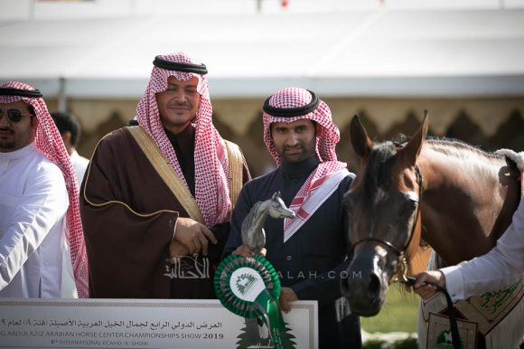 ضي السكب (اميرالد جي x دبليو أيه بريسيل) مربط منصور سعيد حمد المزروعي.
