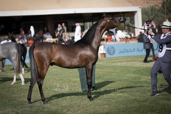 لوشيانو (سانتوريني  xايه ايه لافينيا) مربط المعود.
