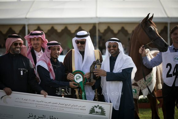 صادح الخالدية (رازي الخالدية x ايفننج فنتسي) مربط المجد.
