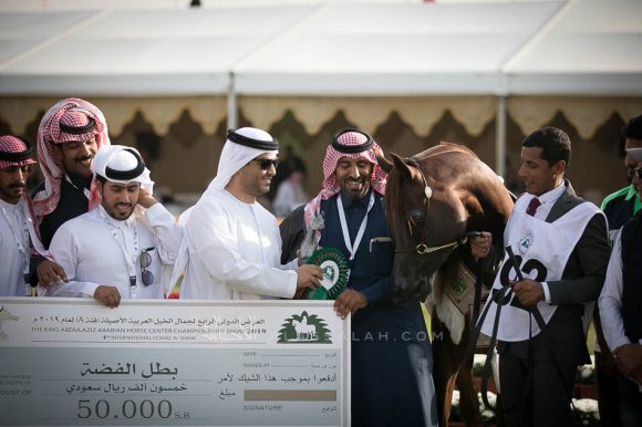 دي رواج (اف ايه الرشيم x دي شرود) مربط بقيق.
