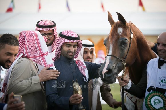 ايدن سي (انزوx سيلكن سابل) مربط السيد.