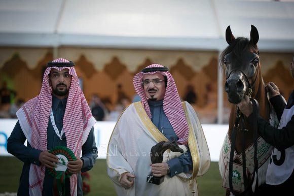 رازي الخالدية (ماركيز كاهرx هالة) إسطبلات الخالدية.
