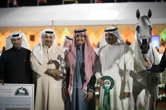 ملكة الملوك (مملوك x اصالة الهالة) مربط الخشاب.
