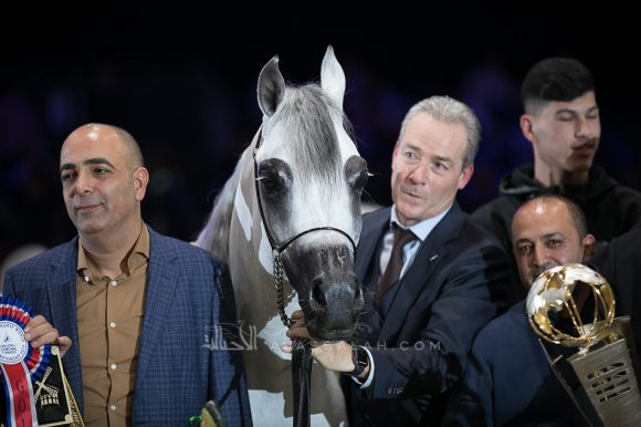 سانداون كي ايه (كيو آر مارك x ال سيرنيلا) مربط الصقران – الكويت