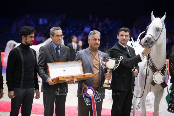 شنغهاي إي ايه (دبليو اتش جستس x سليمة إي ايه) مربط عجمان – الإمارات